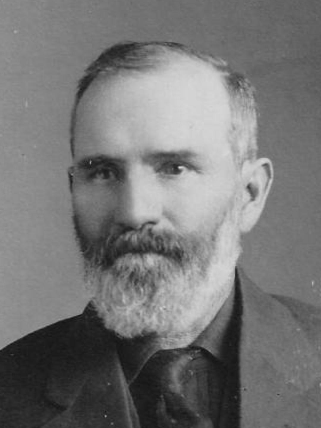 William Hoover Gibbons (1851 - 1925) Profile